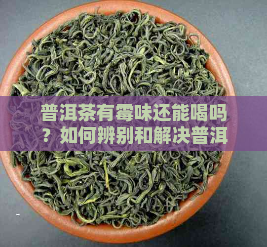 普洱茶有霉味还能喝吗？如何辨别和解决普洱茶的霉味问题