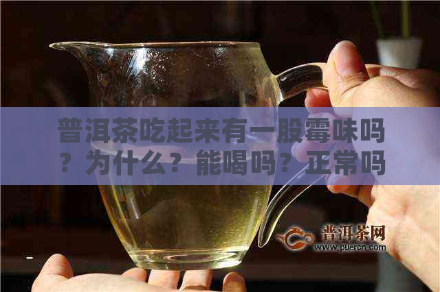 普洱茶吃起来有一股霉味吗？为什么？能喝吗？正常吗？