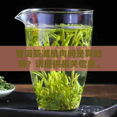 普洱茶减肌肉吗是真的吗？请提供相关信息。