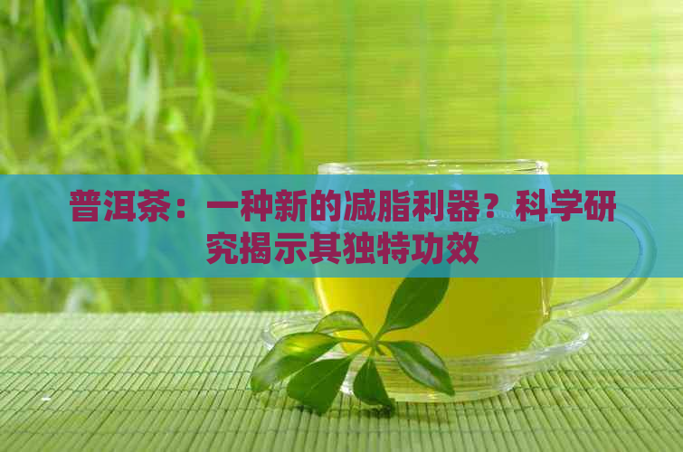 普洱茶：一种新的减脂利器？科学研究揭示其独特功效