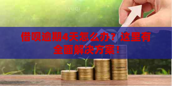 借呗逾期4天怎么办？这里有全面解决方案！