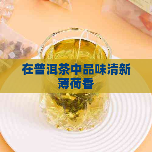 在普洱茶中品味清新薄荷香