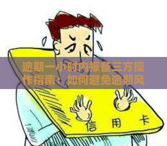 逾期一小时内报备三方操作指南：如何避免逾期风险并顺利完成报备