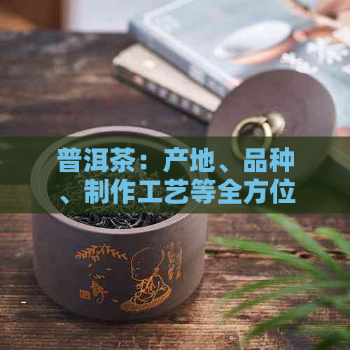 普洱茶：产地、品种、制作工艺等全方位解答