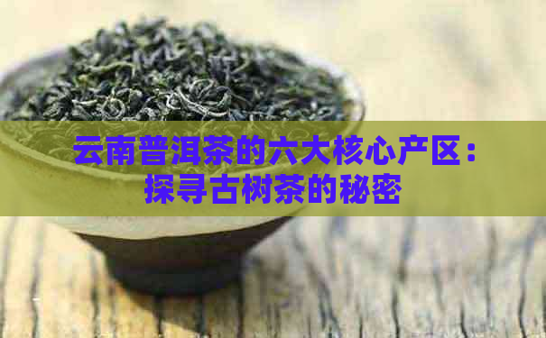 云南普洱茶的六大核心产区：探寻古树茶的秘密