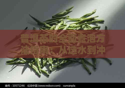 普洱茶的全面煮泡方法指南：从选水到冲泡，详解步骤与技巧