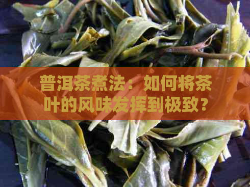 普洱茶煮法：如何将茶叶的风味发挥到极致？