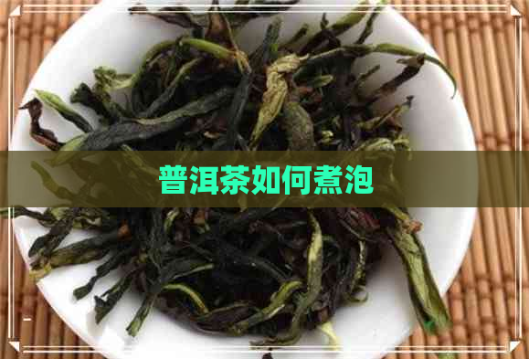 普洱茶如何煮泡