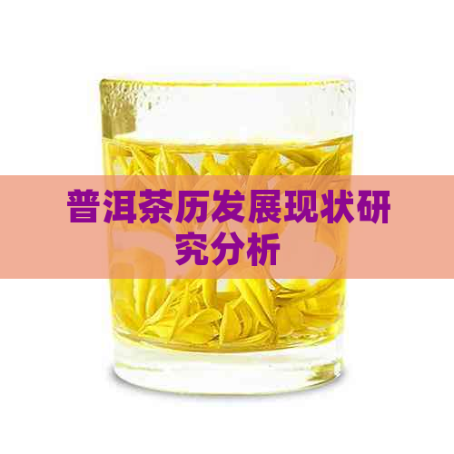 普洱茶历发展现状研究分析