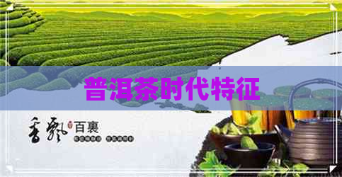 普洱茶时代特征