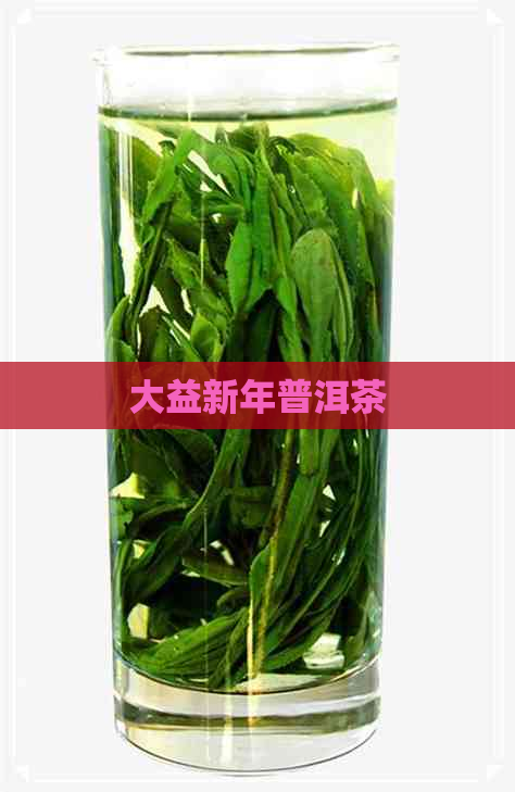 大益新年普洱茶