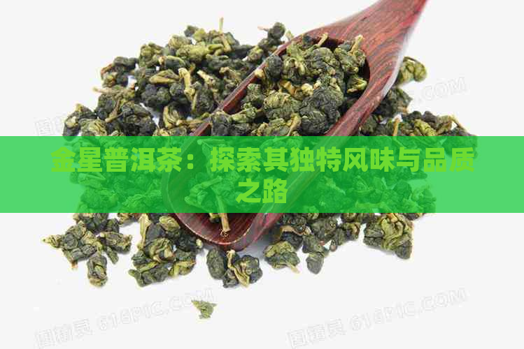 金星普洱茶：探索其独特风味与品质之路