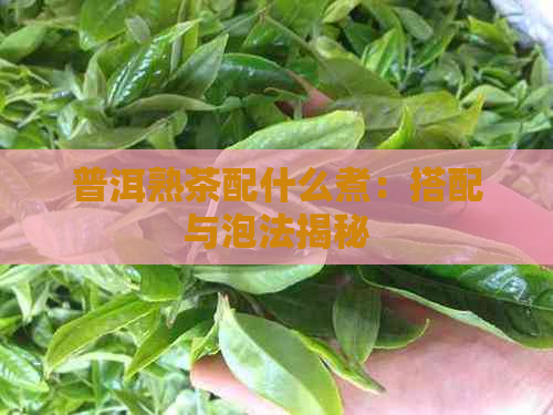 普洱熟茶配什么煮：搭配与泡法揭秘