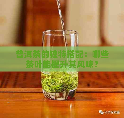 普洱茶的独特搭配：哪些茶叶能提升其风味？