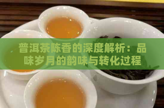 普洱茶陈香的深度解析：品味岁月的韵味与转化过程