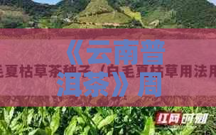 《云南普洱茶》周红杰主编：云南农业大学监制的普洱茶专着