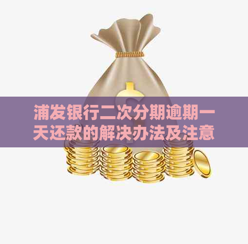 浦发银行二次分期逾期一天还款的解决办法及注意事项