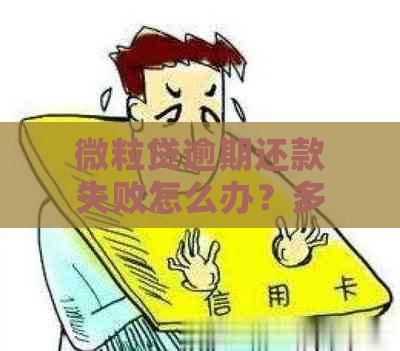 微粒贷逾期还款失败怎么办？多种解决方案助您解决！