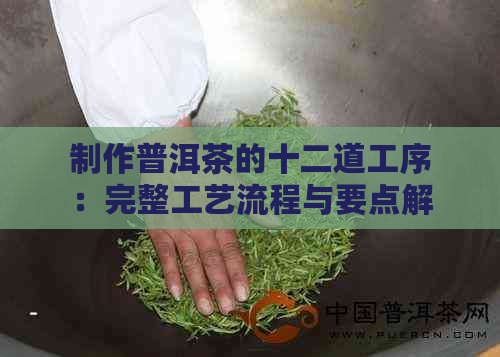 制作普洱茶的十二道工序：完整工艺流程与要点解析