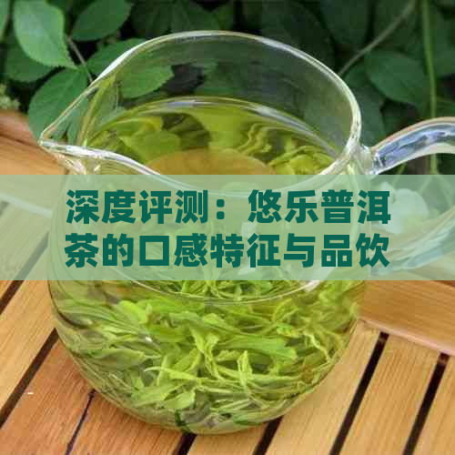 深度评测：悠乐普洱茶的口感特征与品饮体验