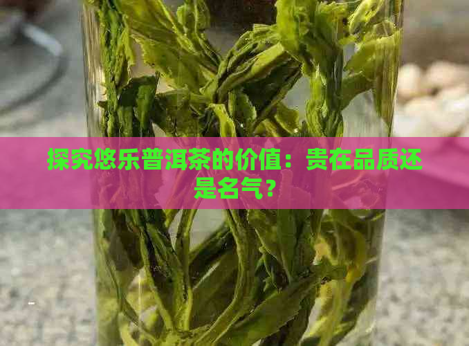 探究悠乐普洱茶的价值：贵在品质还是名气？