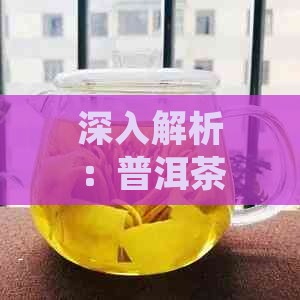 深入解析：普洱茶毛料的闷泡技巧，让你品鉴无与伦比的醇厚口感