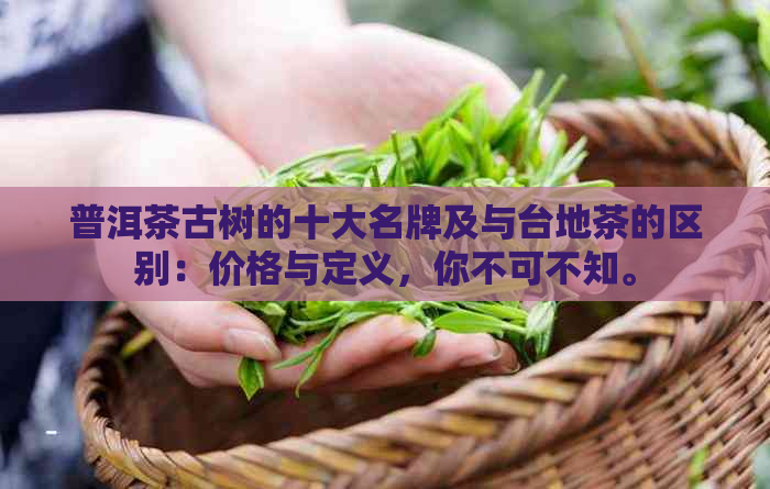 普洱茶古树的十大名牌及与台地茶的区别：价格与定义，你不可不知。