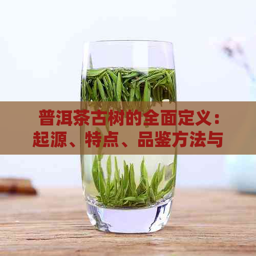 普洱茶古树的全面定义：起源、特点、品鉴方法与收藏价值