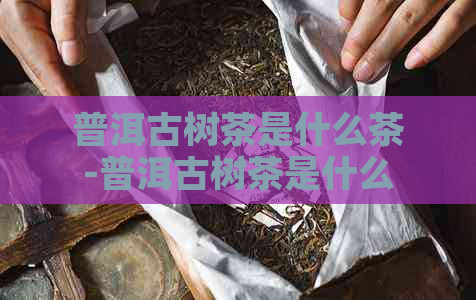 普洱古树茶是什么茶-普洱古树茶是什么茶类