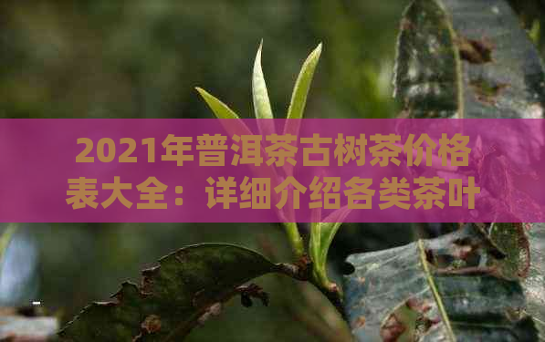 2021年普洱茶古树茶价格表大全：详细介绍各类茶叶的价格及选购指南