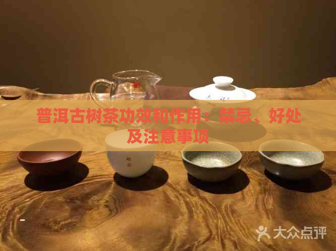 普洱古树茶功效和作用：禁忌、好处及注意事项