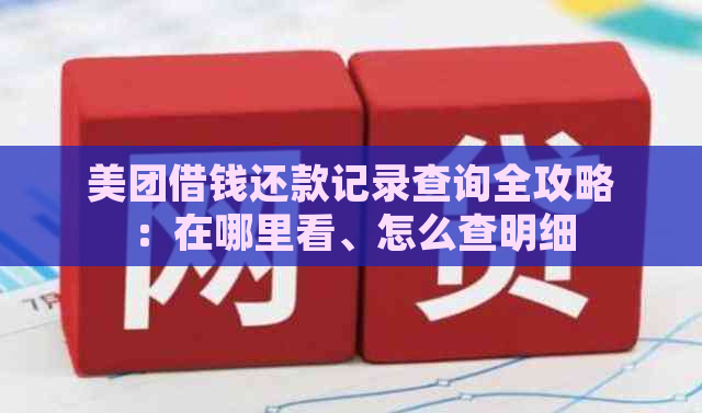 美团借钱还款记录查询全攻略：在哪里看、怎么查明细