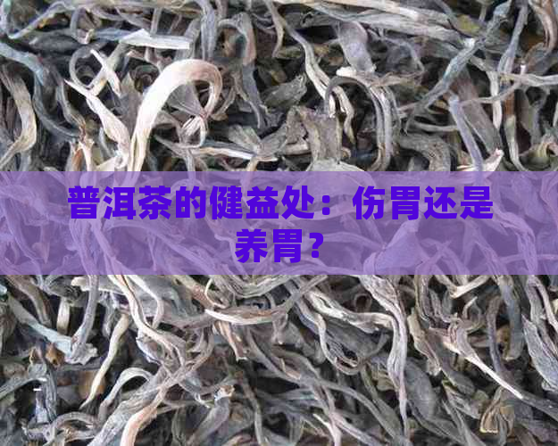 普洱茶的健益处：伤胃还是养胃？