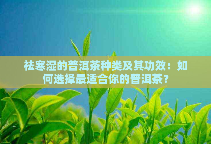 祛寒湿的普洱茶种类及其功效：如何选择最适合你的普洱茶？