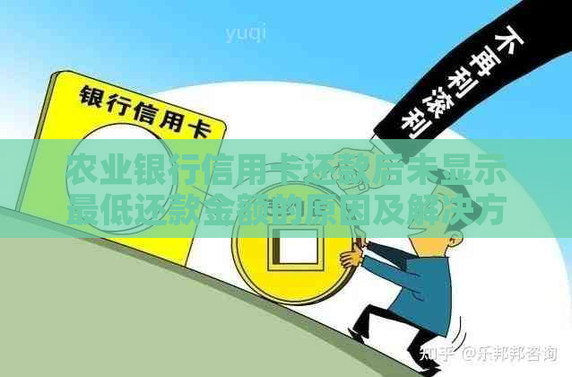 农业银行信用卡还款后未显示更低还款金额的原因及解决方法