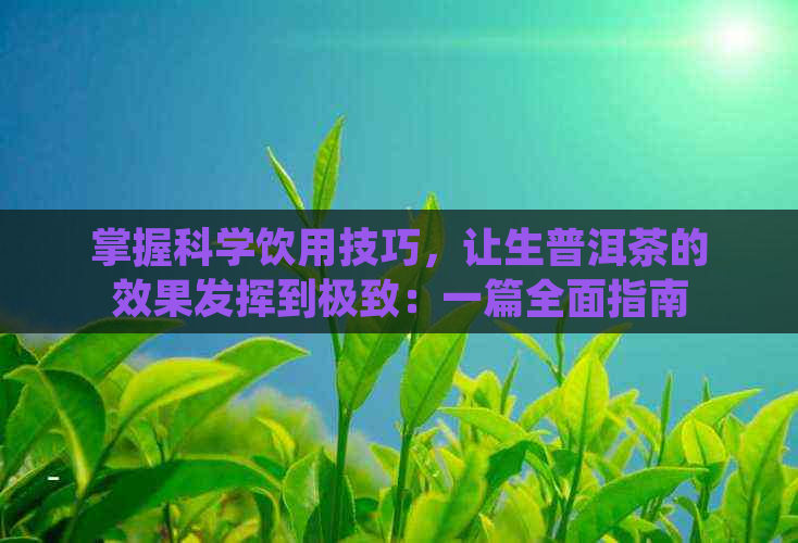 掌握科学饮用技巧，让生普洱茶的效果发挥到极致：一篇全面指南