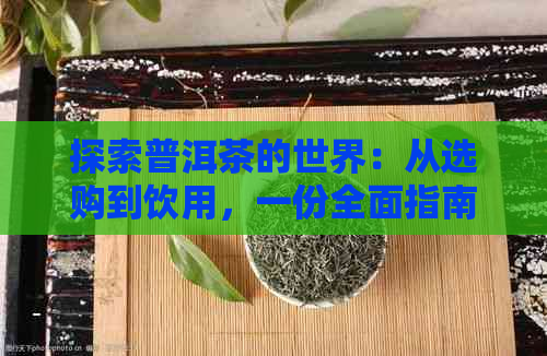 探索普洱茶的世界：从选购到饮用，一份全面指南助你成为茶叶达人！