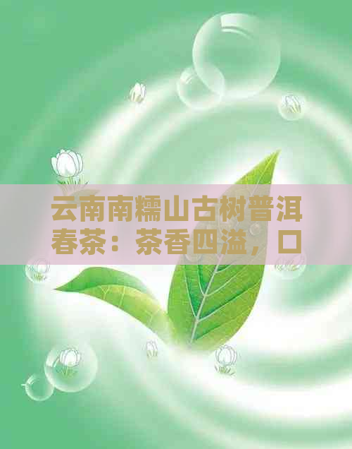 云南南糯山古树普洱春茶：茶香四溢，口感醇厚，品味悠长