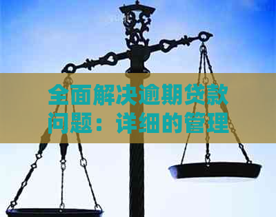 全面解决逾期贷款问题：详细的管理办法与应对策略