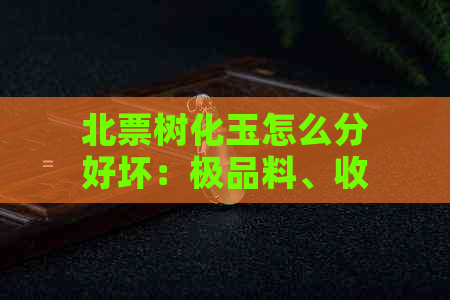 北票树化玉怎么分好坏：极品料、收藏价值与黑冰评价