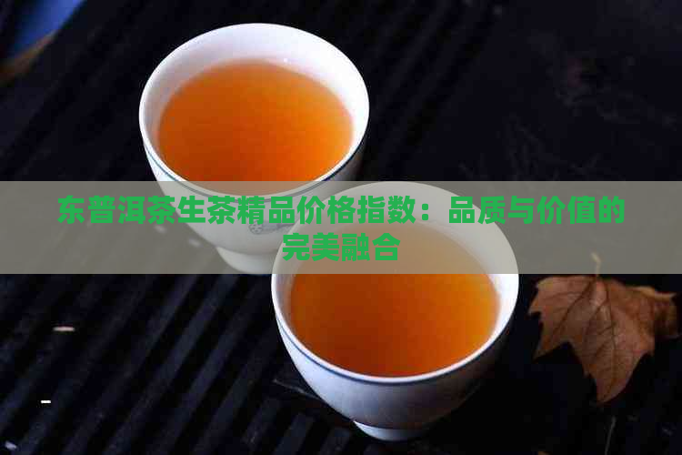 东普洱茶生茶精品价格指数：品质与价值的完美融合