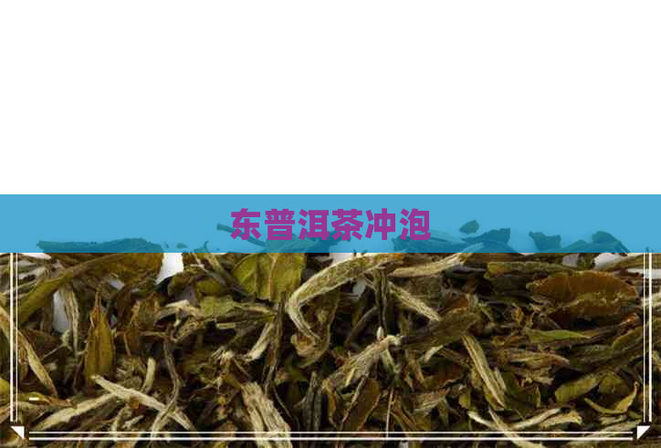 东普洱茶冲泡