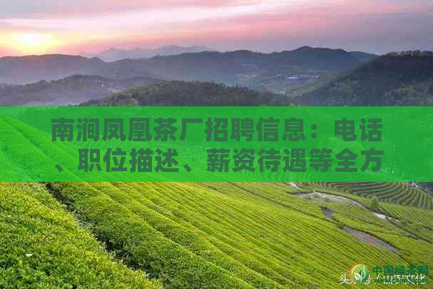 南涧凤凰茶厂招聘信息：电话、职位描述、薪资待遇等全方位解答