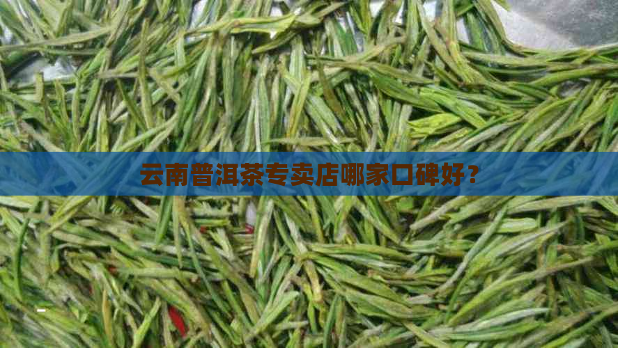 云南普洱茶专卖店哪家口碑好？