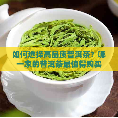 如何选择高品质普洱茶？哪一家的普洱茶最值得购买？