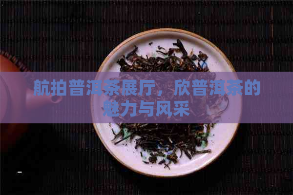 航拍普洱茶展厅，欣普洱茶的魅力与风采