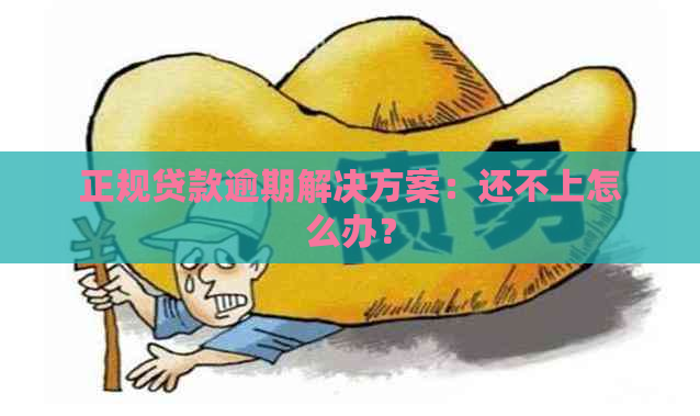 正规贷款逾期解决方案：还不上怎么办？