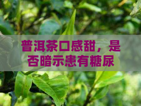 普洱茶口感甜，是否暗示患有糖尿病？深入探讨糖尿病与普洱茶的关系