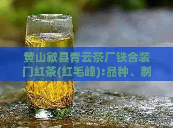 黄山歙县青云茶厂铁合装门红茶(红毛峰):品种、制作工艺与品质详解