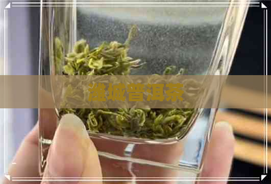 潍城普洱茶